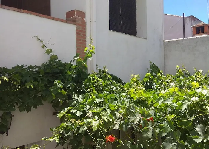 El Regocijo * Oliva de la Frontera